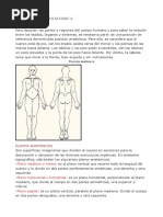 Unidad 1 Terminologia Anatomica