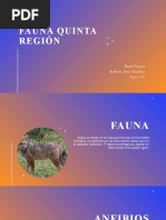 Fauna Quinta Región