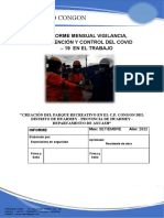 Informe de Covid Valo 02