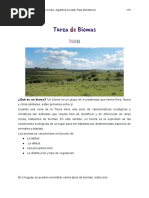 Tarea Biomas 1°a