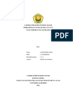 04 - Laporan Perbandingan Jumlah Mol - Luthfi Rindra Salam - Teknik Perminyakan - 1020