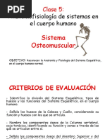 Clase Anatomofisiología de Sistemas en El Cuerpo Humano