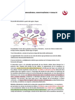 Resumen Embriogenesis, Odontogenesis, Amelogénesis