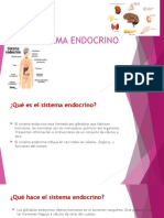 El Sistema Endocrino