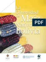 Diversidad Del Maiz Nativoen Bol. FAO - 2021