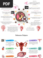 Aborto, Embarazo Ectopico y Mola