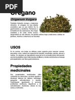 Plantas Medicinales