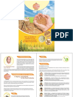 Sri Bhagyalakshmi Brochure