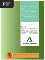 TEMA 5 CURSO BÁSICIO PARA DELEGADOS DE LA AUTORIDAD DE ANDALUCÍA. Festejos Populares-2