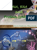 Dna Rna Protsin 2020