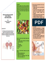 Leaflet TURP BPH