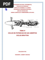 Tema IV Ciclos Brayton4