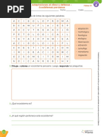 Adaptaciones Al Clima y Defensa - Ecosistemas Peruanos (Alumno)