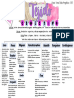 Tejido Conectivo-Histopatología