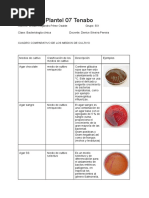 William Alejandro Perez Osalde - Cuadro Comparativo de La Clasificación de Los Medios de Cultivo.