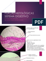 Digestivo Placas Histo