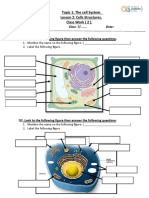 G7 CW 2 Q 1 Cells Structures