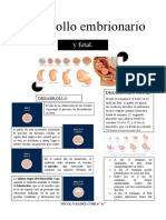 D.embrionario Valdez Cori Nicol 6a