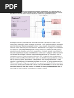 Prueba Técnica V2