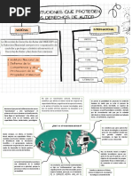 Mapa Mental D Consumidor