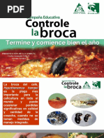 Presentacion - CAMPAÑA BROCA