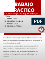 Trabajo Práctico - 1