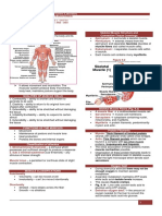 Muscular System