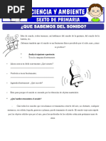 Que Sabemos Del Sonido para Sexto de Primaria