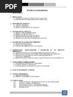 Informe de Gestion Ambiental Expediente