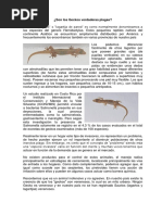 Documento Sobre Geckos o Lagartos de Pared