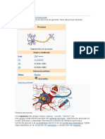 Neurona