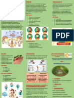 Enfermedades Metaxenicas Completo Actual Ahora