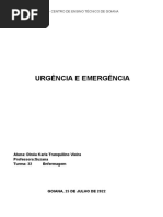 Urgência e Emergência - Dinea