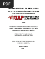 Fitoextraccion de Plomo y Cadmio en Un Suelo Contaminado