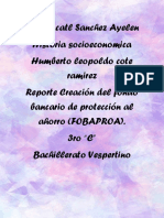 Ensayo Creación Del Fondo Bancario de Protección Al Ahorro (FOBAPROA) .