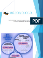 Morfologia Bacteriana