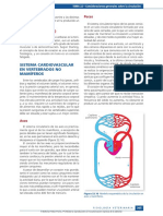 Sistema Cardiovascular en No Mamiferos