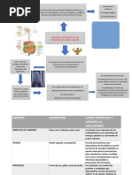 Mapa Conceptual