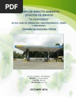 Estudio de Impacto Ambiental Es La Guayaquil