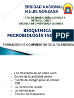 Bioquímica Y Microbiología Industrial: Facultad de Ingeniería Química Y Petroquímica Escuela de Ingeniería Química