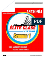 Anatomía Semana 1