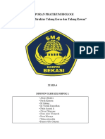 Laporan Pengamatan Tulang Dan Tulang Rawan