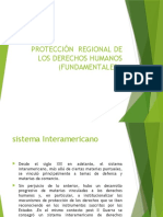 Protección Regional - DD.HH (Cidh)