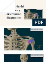 Exploración Del Hombro y Orientación Diagnostica