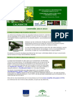 Informe EspecialInteres Calabacin