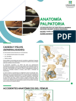 Anatomía Palpatoria - Miembros Inferiores