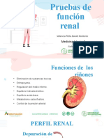 Pruebas de Funcion Renal