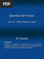 Garantías Del Proceso - TGP