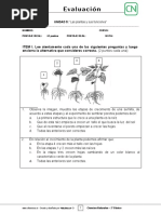 3basico - Evaluacion N5 Ciencias - Clase 2 Semana 25 - 2S