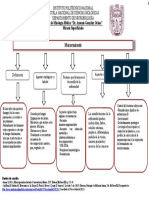 Mapa Cognitivo de Cajas Mucormicosis